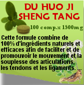 Du Huo Ji Sheng Tang