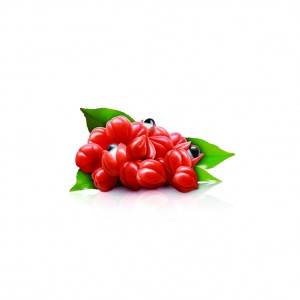Guarana