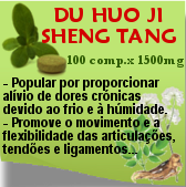 Du Huo Ji Sheng Tang