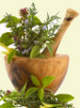 Fitoterapia Chinesa - Formulas de Ervas Fitoterapia Chinesa - Formulas naturais de Medicina Tradicional Chinesa