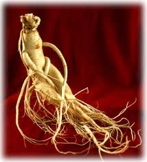 Ginseng Ginseng