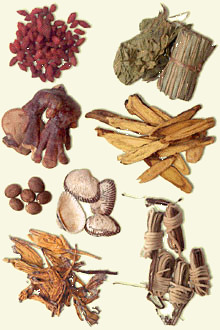 Tonicos Tonicos
