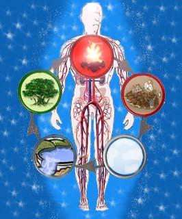 5 elementos MTC 5 elementos MTC