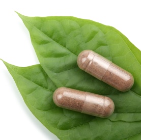 Cordyceps Sinensis Mycelia Cordyceps Sinensis Mycelia