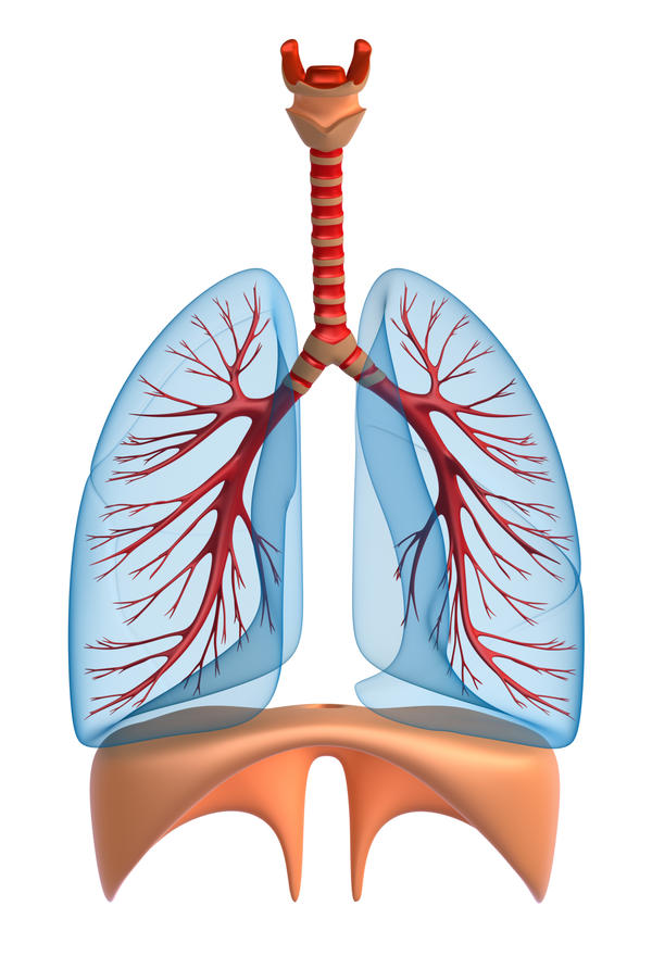 bronquitis cronica, chronic bronchitis