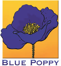 Blue Poppy Pediatrique